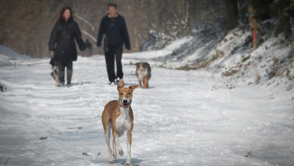 How to Keep Warm on Winter Walks