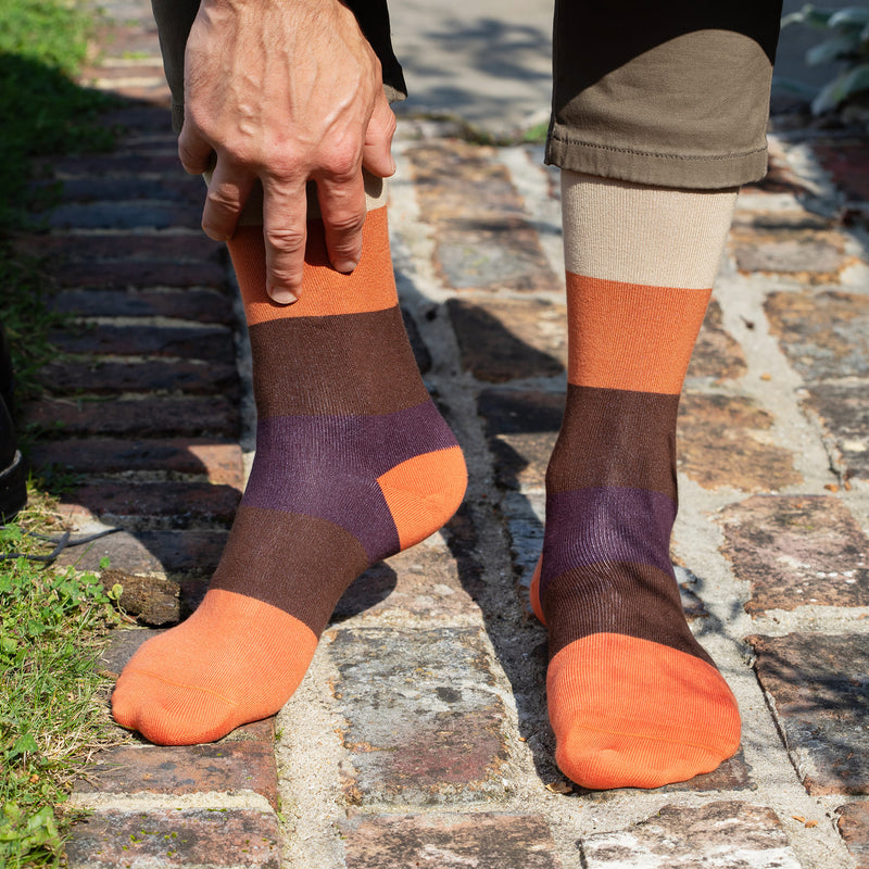 Block Stripe Men's Socks - Autumn