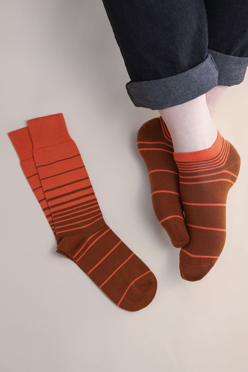 Retro Stripe Men's Trainer Socks - Brown